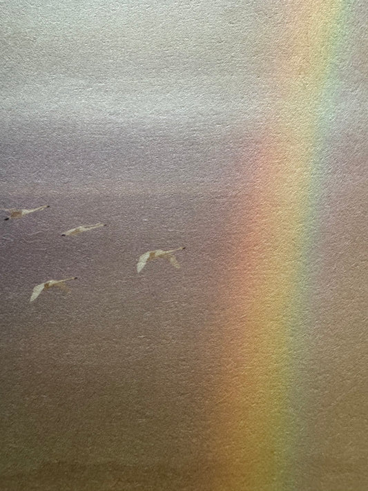 Flight Beyond the Rainbow – 虹の彼方へ（Framed Fine Art Print on Handmade Tango Washi）